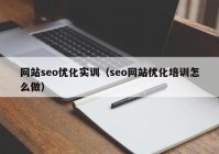 网站seo优化实训（seo网站优化培训怎么做）